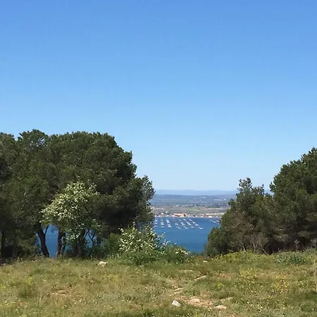 Bel T4 à Avec Terrasse, Climatisation Et Parking Privé - Fr-1-338-571 Appartamento Sète